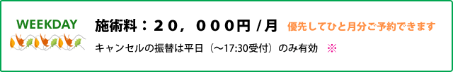 施術料：２０，０００円／月